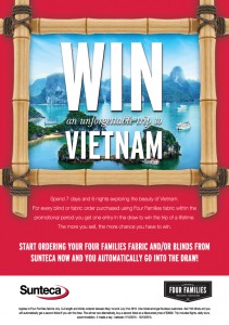 Vietnam-Promo-Flyer